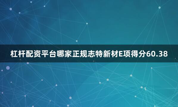 杠杆配资平台哪家正规志特新材E项得分60.38