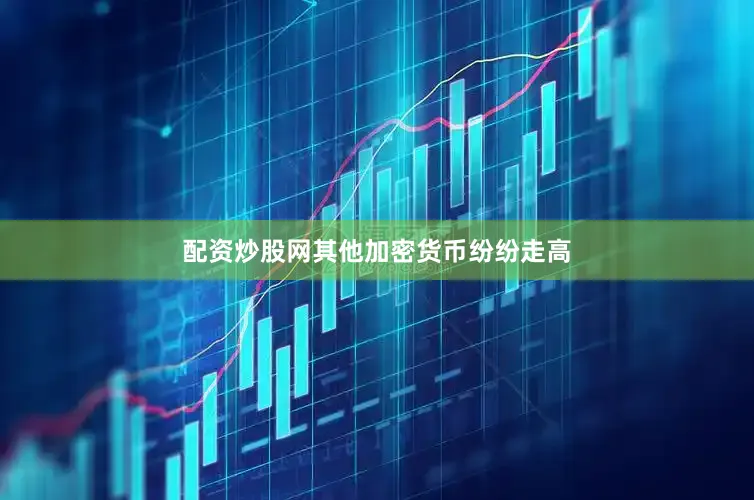 配资炒股网其他加密货币纷纷走高