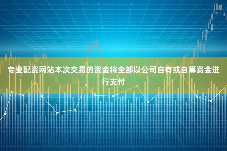 专业配资网站本次交易的资金将全部以公司自有或自筹资金进行支付