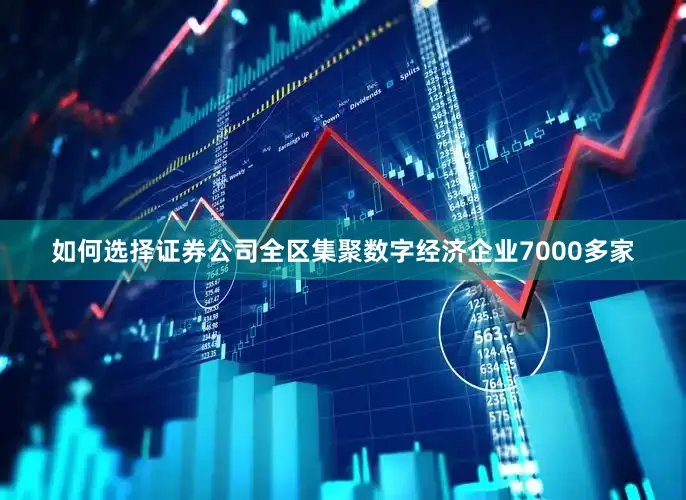 如何选择证券公司全区集聚数字经济企业7000多家
